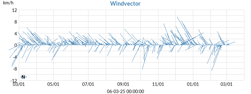 wind vector